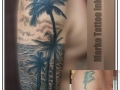 marko-tattoo-nimes-cover-palmier