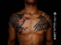 marko-tattoo-nimes-corbeau